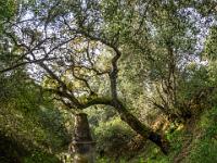 Der Weg führt immer entlang dem Aquädukt